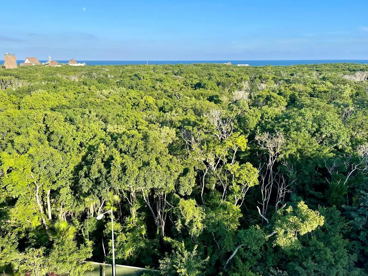 Arova Apartments Tulum By Seashore Apartments Cancun Mexico