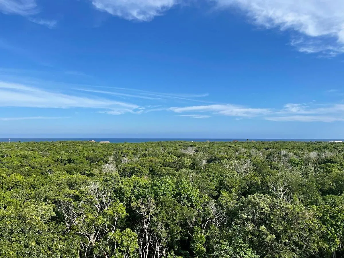 Arova Apartments Tulum By Seashore Apartments Cancun