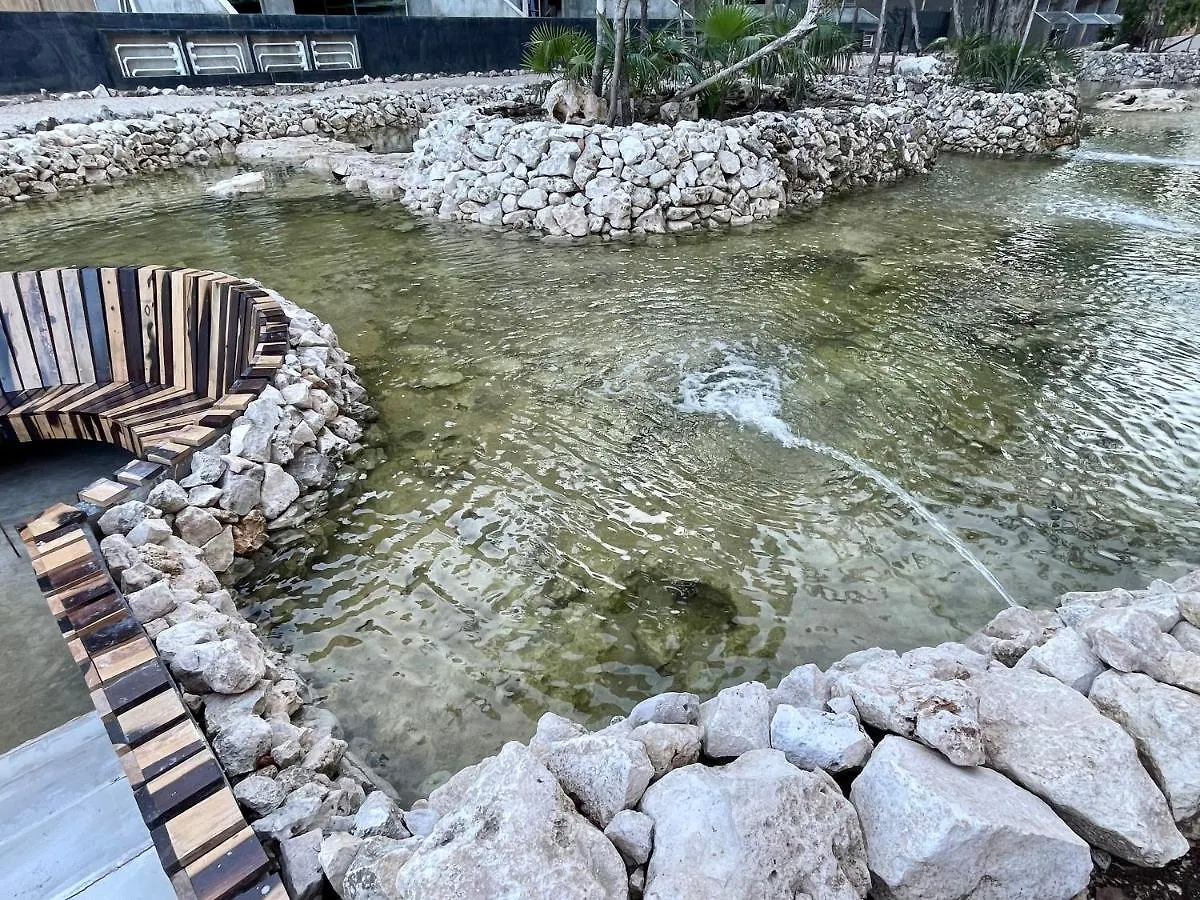 Arova Apartments Tulum By Seashore Apartments Cancun