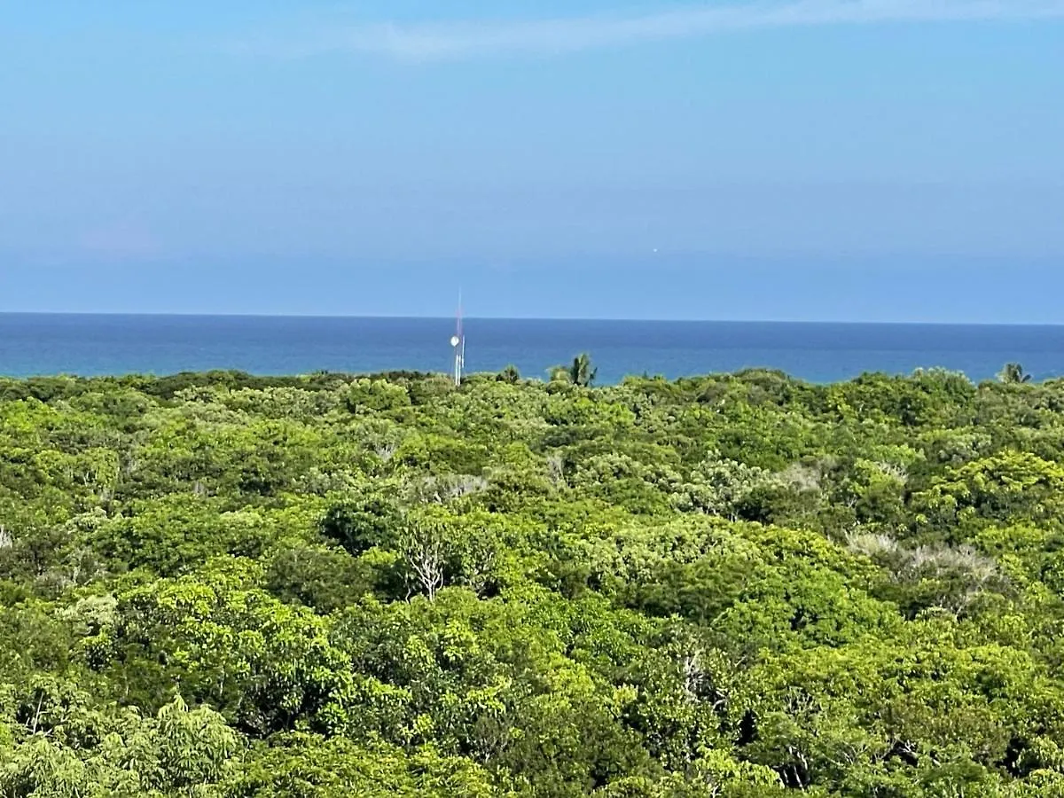 Arova Apartments Tulum By Seashore Apartments Cancun Mexiko